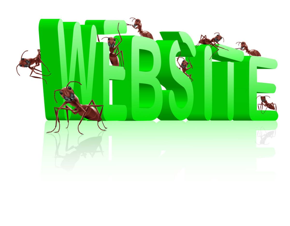 蘇州企業(yè)怎樣做網(wǎng)站建設(shè)