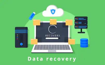 博敏進入第五年