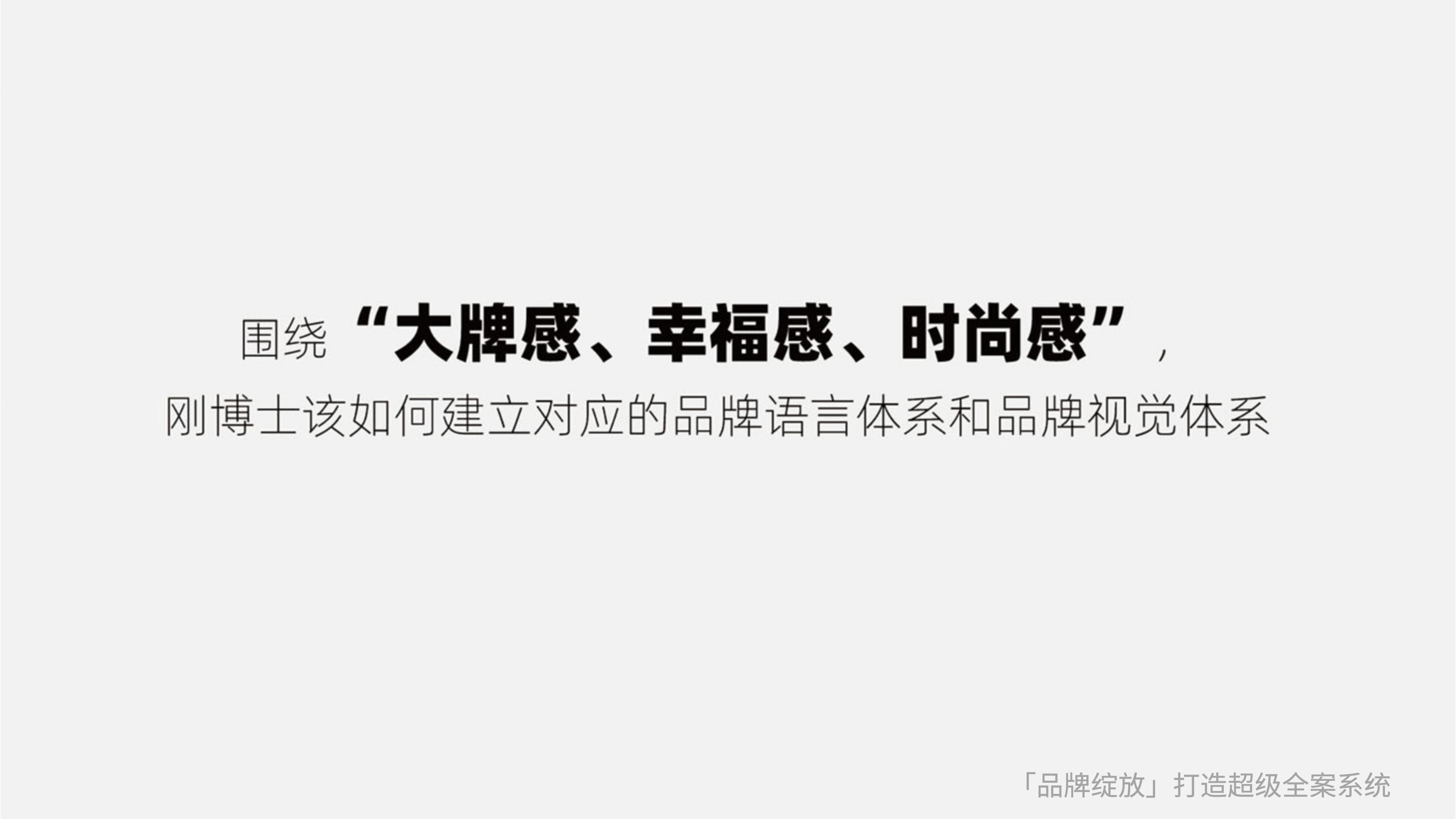 剛博士品牌全案策略 剛博士品牌全案策略