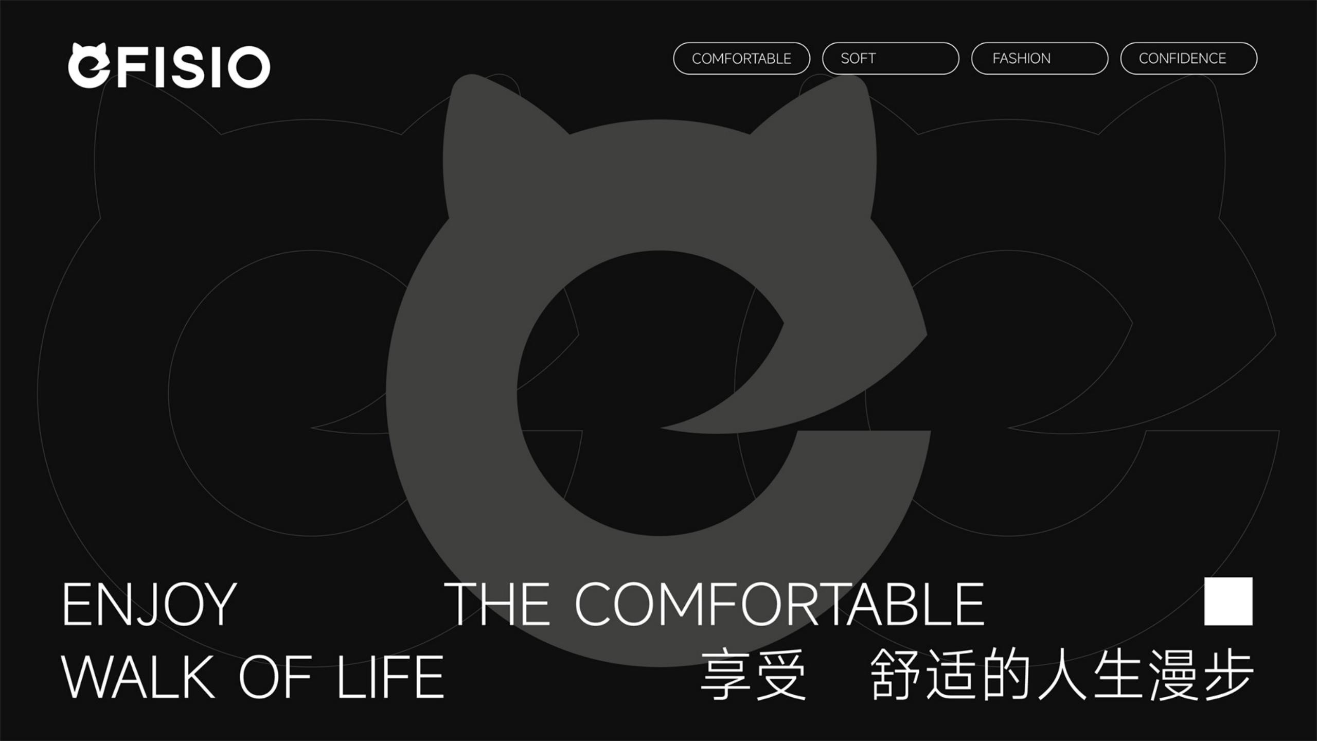 鞋帽品牌全案策劃-時尚單品品牌vi設(shè)計