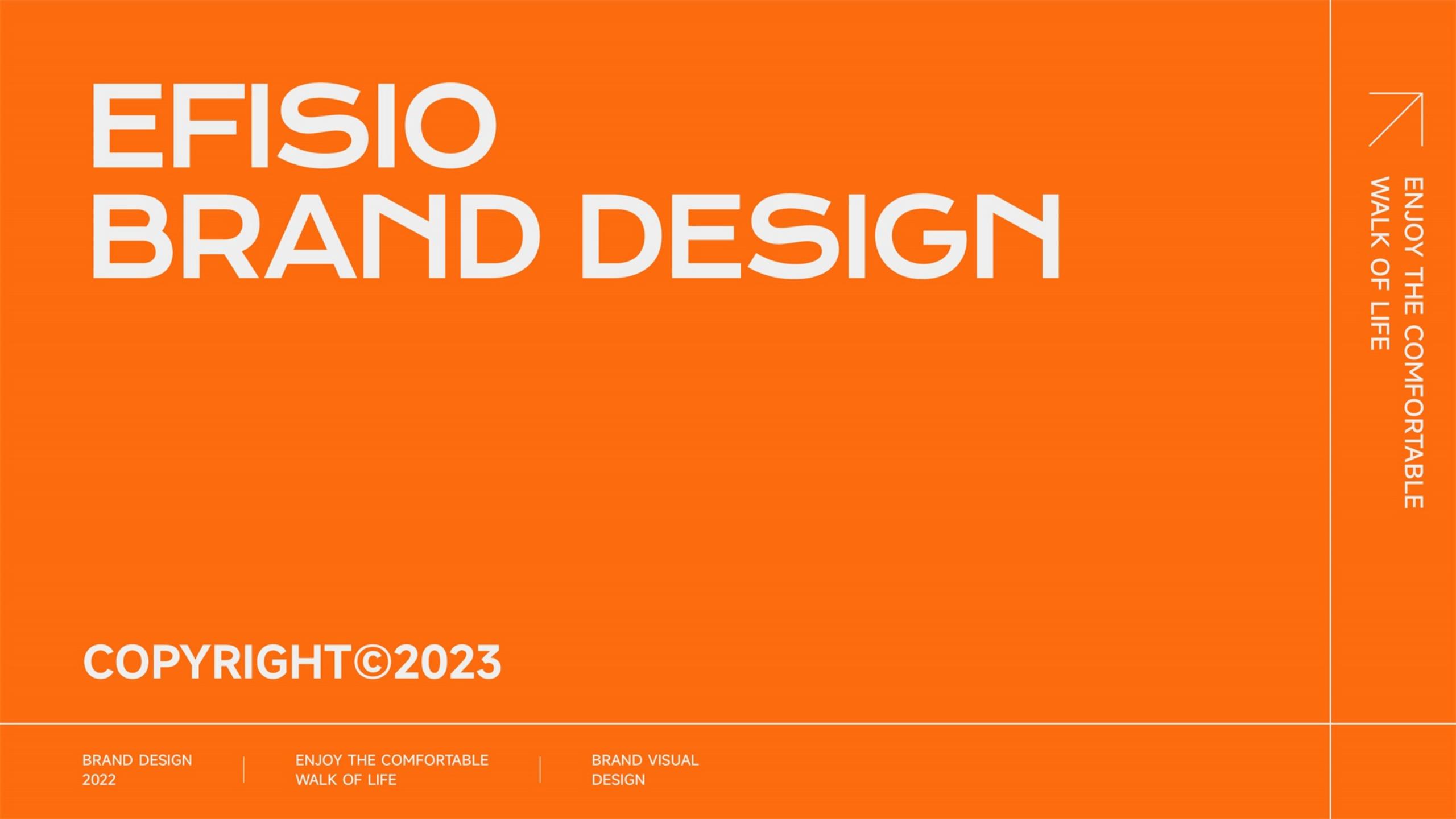 鞋帽品牌全案策劃-時尚單品品牌vi設(shè)計