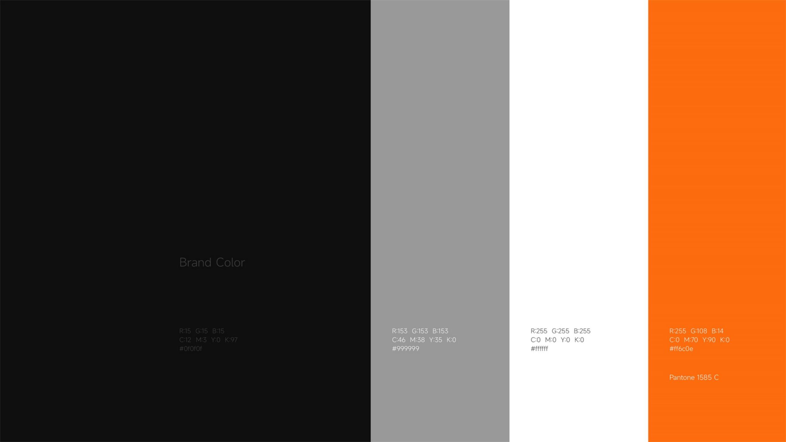 鞋帽品牌全案策劃-時尚單品品牌vi設(shè)計