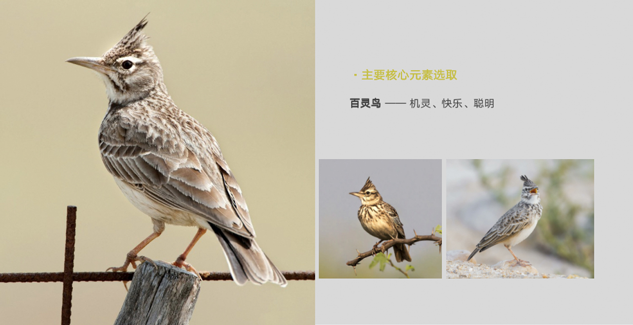 拖把品牌策劃設計-品牌命名-logo/vi設計-蘇州木鳥家居 拖把品牌策劃設計-品牌命名-logo/vi設計-蘇州木鳥家居